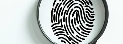 Background screening and fingerprinting services